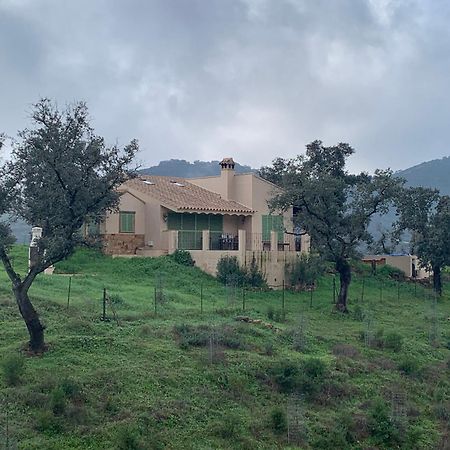Alojamiento Rural En Aracena. Finca El Rehilete エクステリア 写真